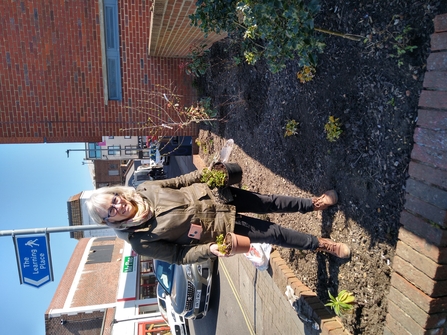 Volunteers standing in area of raised beds doing some gardening