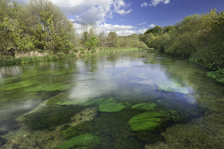 River Itchen © Guy Edwardes/2020VISION