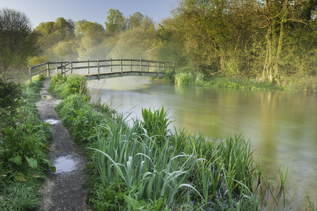 River Itchen in the early morning © Guy Edwardes/2020VISION
