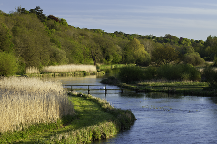 River Test near Stockbridge © Guy Edwardes/2020VISION