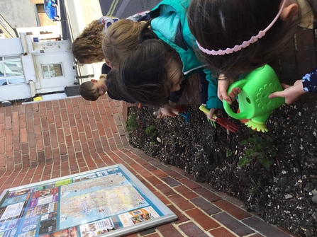 children planting in planter on side of road