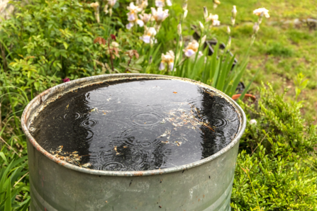 Water barrel © Martin Fredy via Getty Images