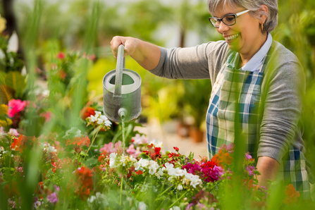 Watering plants with a can © Ikostudio