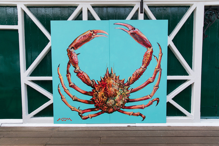 Spider crab mural