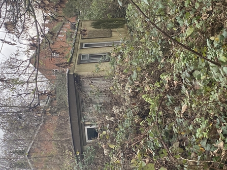 View of purvers patch - overgrown brambles and abandoned building