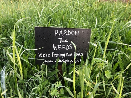 Image of black sign on grass. Sign reads, "pardon the weeds, we're feeding the bees"