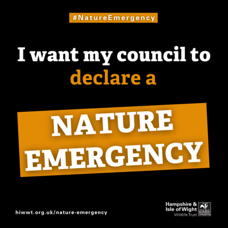 Councils declare a Nature Emergency graphic