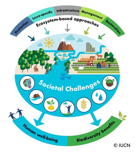 IUCN diagram of nature-based solutions