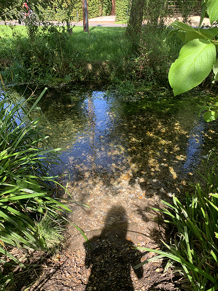 Shadow in the Cheriton Stream © Holly Surtees