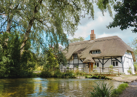 The Fulling Mill in Alresford © Harry Bradley