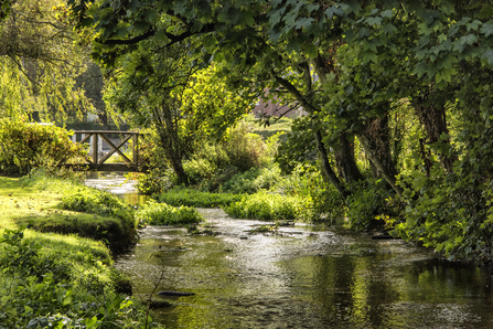 Cheriton Stream in Cheriton Village © Simon Newman