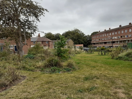 Image of cornwallis crescent, Charles Dickens Ward, Portsmouth. Wild green area with some benches in the back. Houses surround.