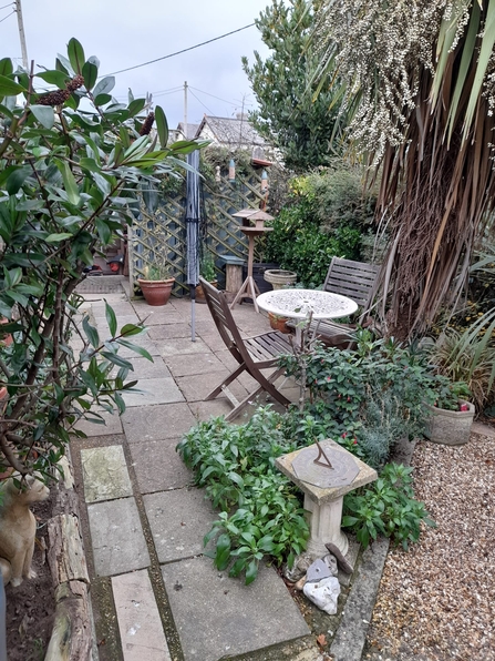 Image of small wildlife garden in progress, mainly patio with a few shrubs around and bird feeders in the corner.