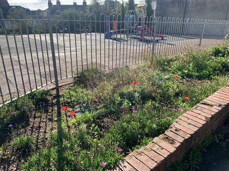 Raised bed with wildflowers just in front of a fence to a playground.