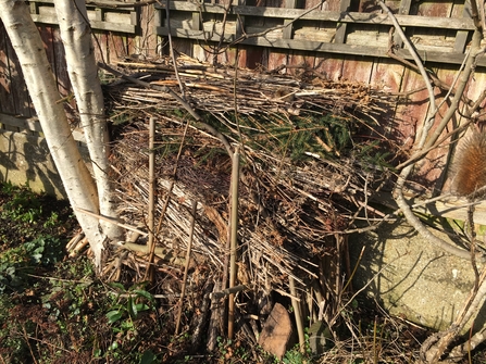 Pile of twigs against fence