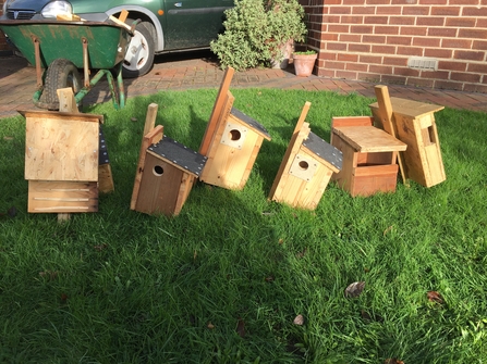 Bird and bat boxes lying in the grass