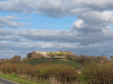 View of Carisbrooke castle from the road. Hedges and a grass hill in between.