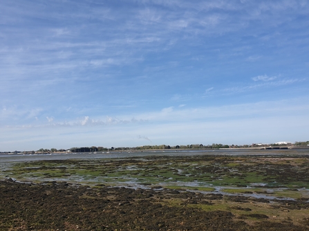 low tide at Farlington Marshes