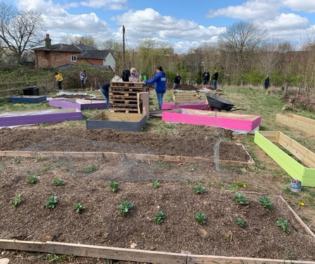Volunteers planting on raised beds in community garden facility.