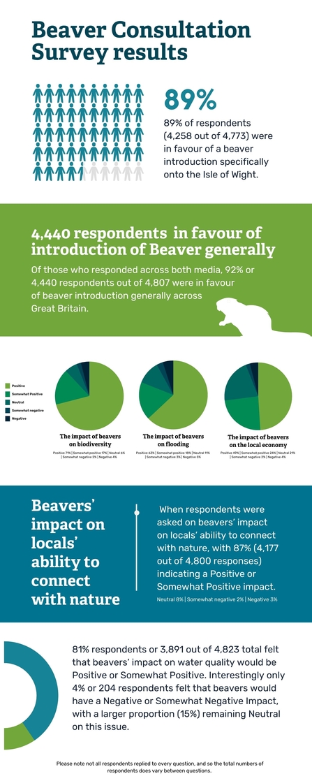 Infographic of Isle of Wight beaver consultation 2022