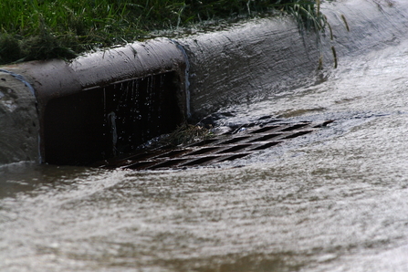 Storm drain © Robert Lawton