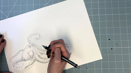 Step 12 octopus drawing