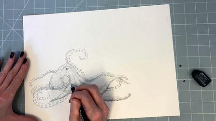 Step 13 octopus drawing