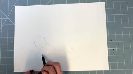 Octopus step 4a