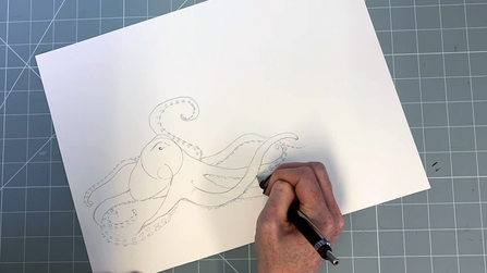 Step 7 octopus drawing