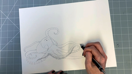 Step 8 octopus drawing
