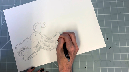 Step 9 octopus drawing