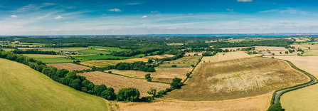 Wilder Duxmore Farm in 2020