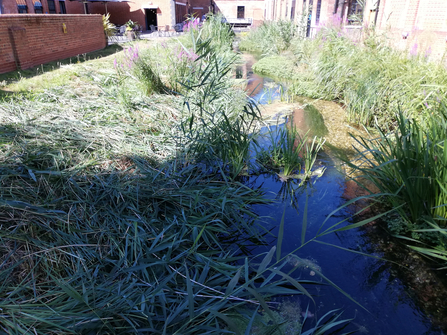 Cutting of bank vegetation at the Bombay Sapphire Distillery in Laverstoke © Chris Cotterell