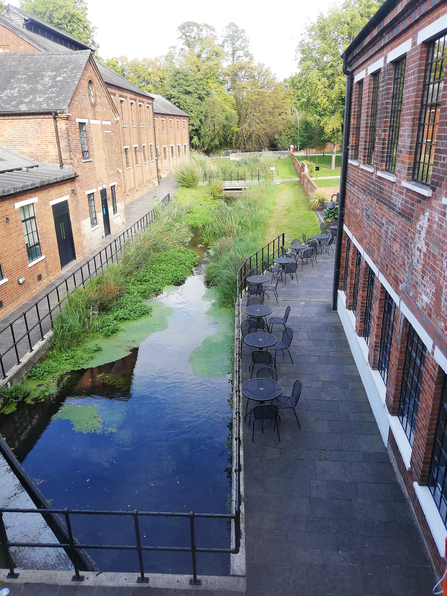 Restored chalk stream at the Bombay Sapphire Distillery in Laverstoke © Chris Cotterell