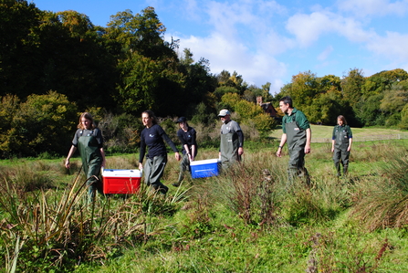 Conservationists from Hampshire & Isle of Wight Wildlife Trust and Bristol Zoological Society carrying crayfish to release site
