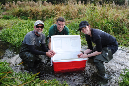 Conservationists from Hampshire & Isle of Wight Wildlife Trust and Bristol Zoological Society prepare to release the crayfish 