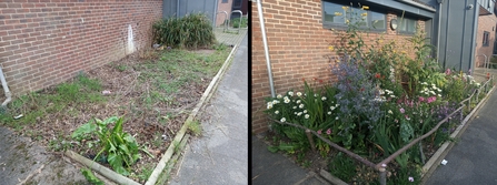 Community centre comparison Jan to July - on the left a bare plot of green to the right a vibrant bed of colourful flowers