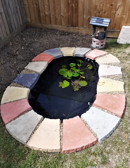 Small garden pond with water lilies
