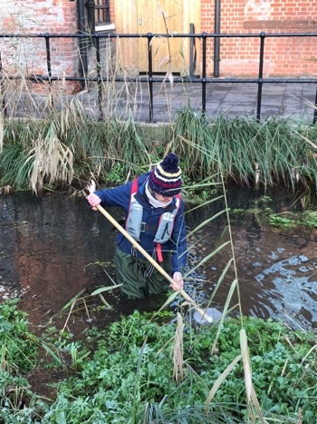 Sarah Cooney (Chalk Stream Champion) monitors riverfly populations at Bombay Sapphire Distillery