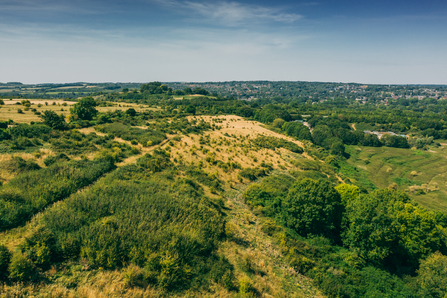 Green landscape with trees and shrubs. Winchester city can be seen in the background.