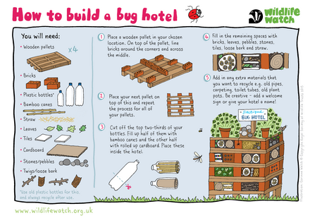 How to build a bug hotel