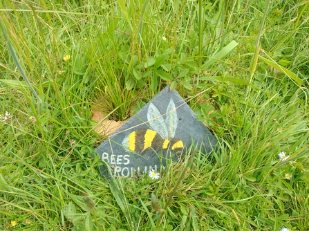 Knightwood Primary School Bee sign