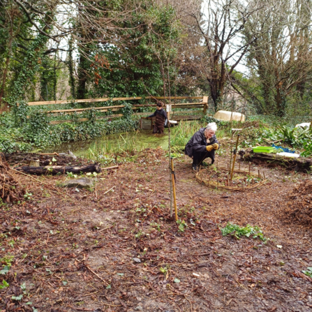 Two people working in a community garden. One person in a pond holding items and the second person creating a willow border around a tree. 