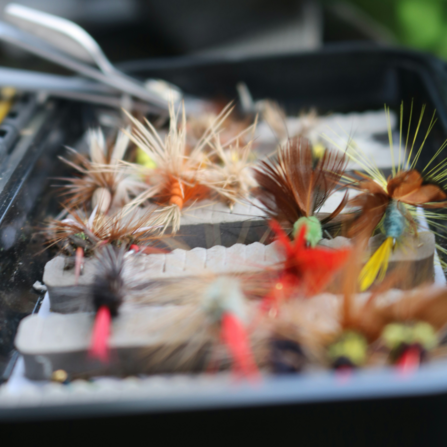 various flyfishing lures in a case
