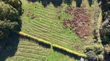 Smallgains field showing the wiggles at Furzehill Farm