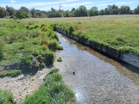 Stream adjacent to Compton Lock
