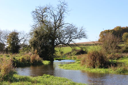 River Meon at St Claire's Nature Reserve 