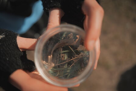 A top down photograph looking into a magnified bug container filled with twigs and leaves