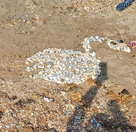 a swan made from shells and stones laid flat on a beach 