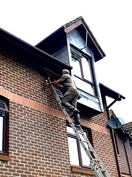 A man on a tall ladder installing a swift box on a building